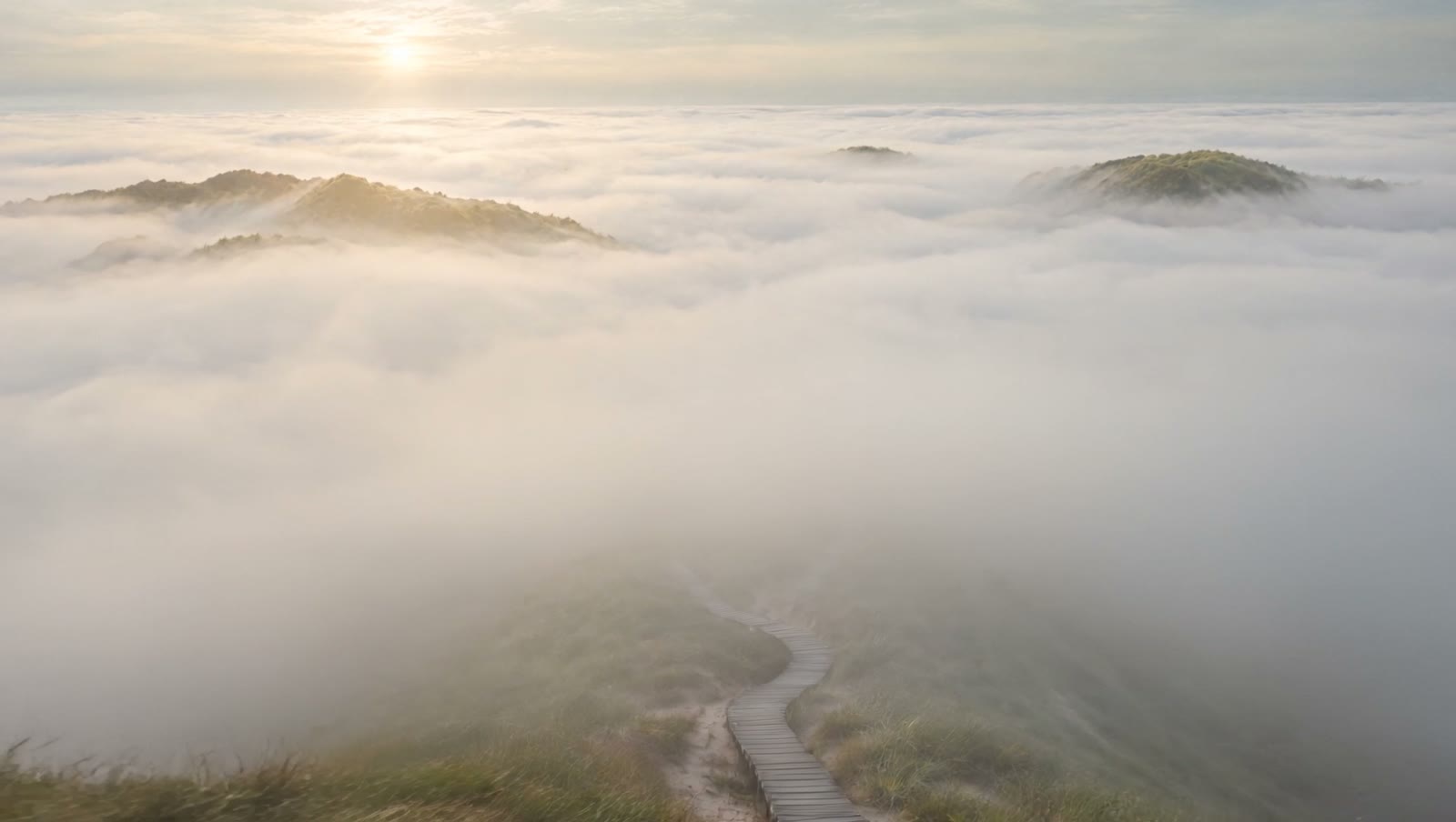 Ein Holzsteg schlängelt sich durch nebelverhangene Dünen
