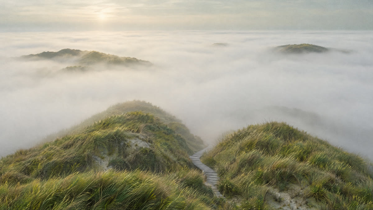Grüne Dünenkämme ragen aus einem Nebelmeer, dahinter die Sonne im Dunst